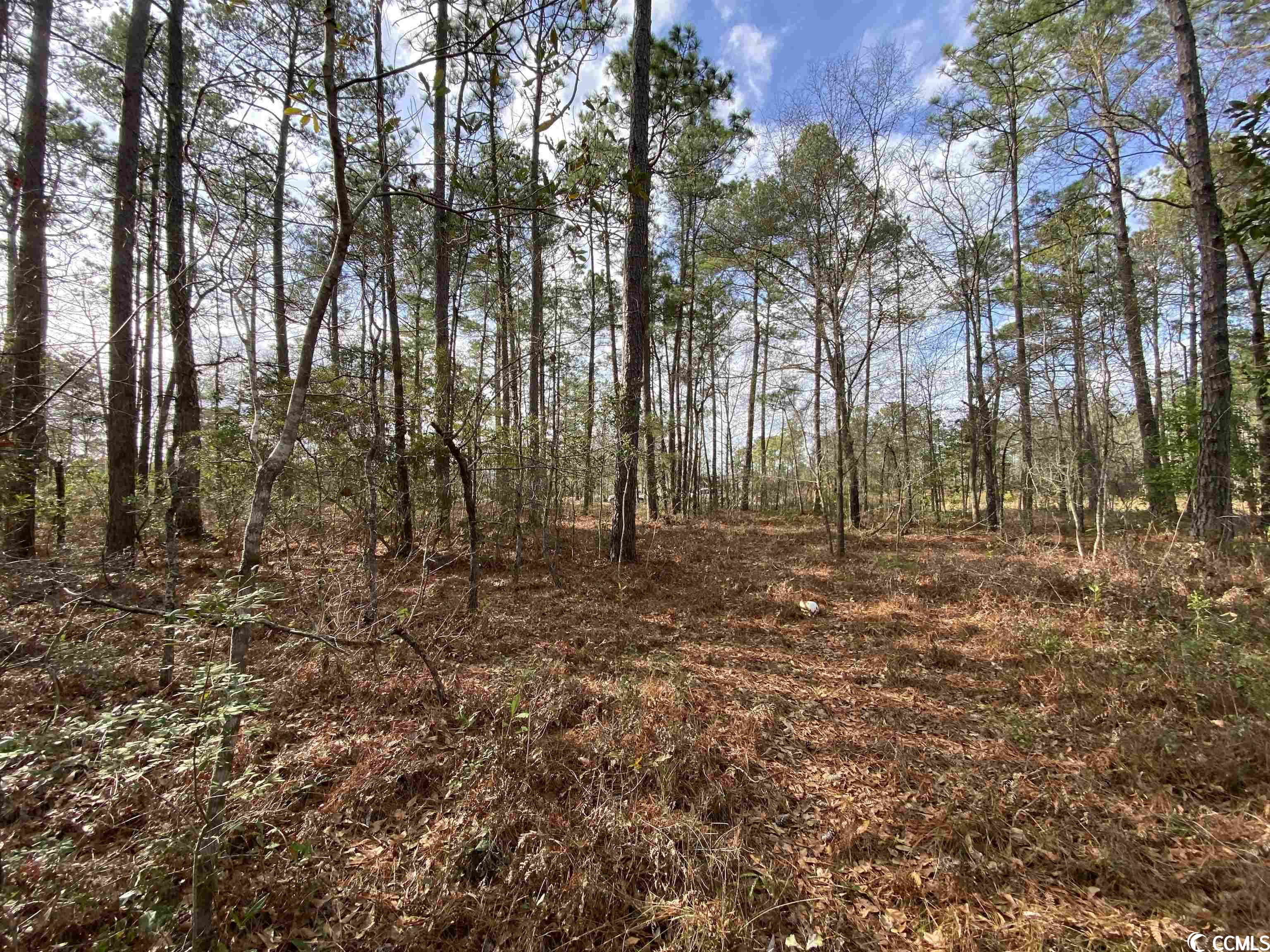 Lot A Inheritance Road Conway, SC 29527 - Photo 4 of 5