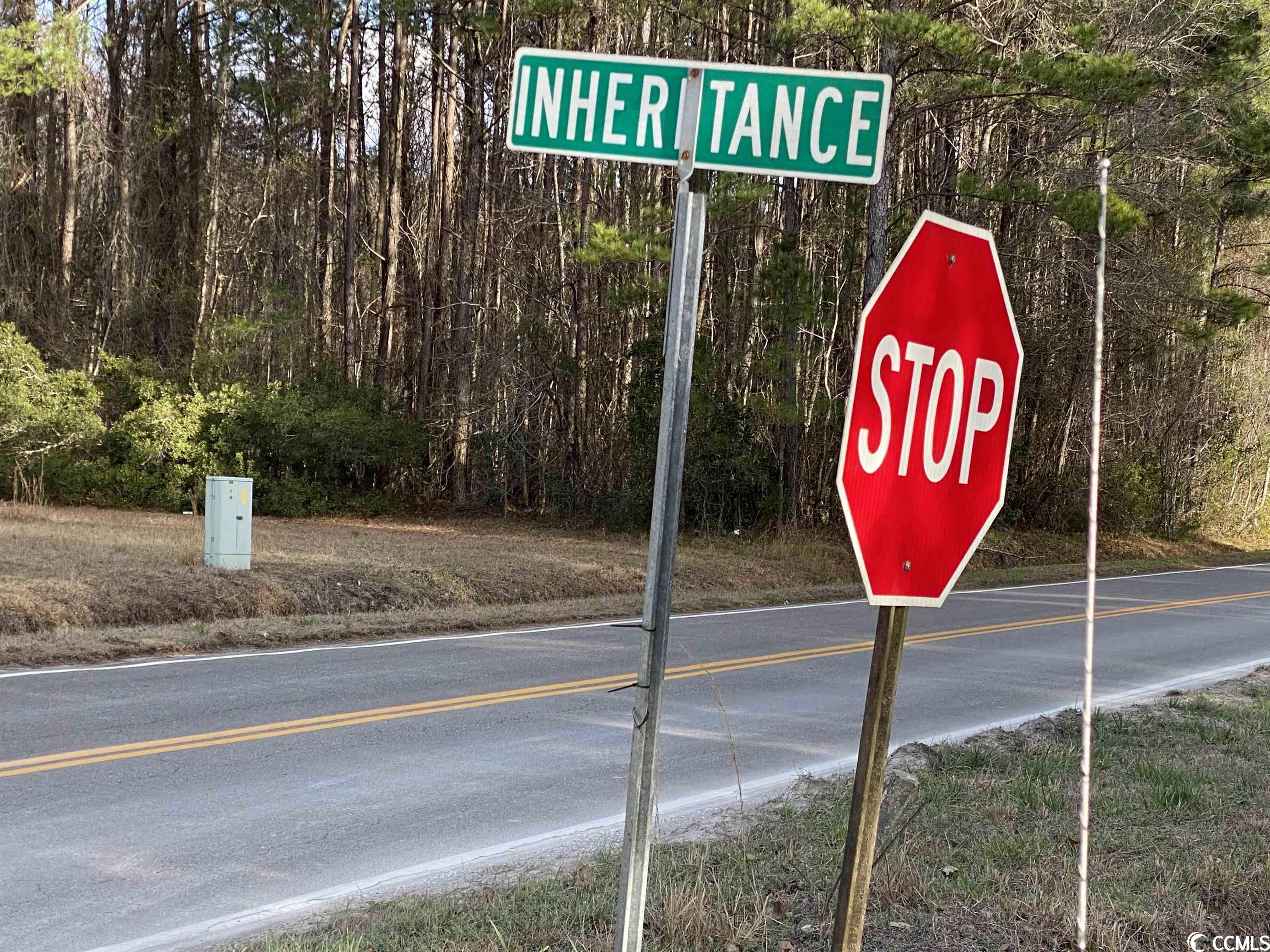Lot A Inheritance Road Conway, SC 29527 - Photo 5 of 5
