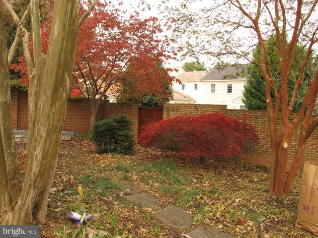 10277 Gainsborough Road Potomac, MD 20854 - Photo 13 of 14 a view of a yard with plants and trees