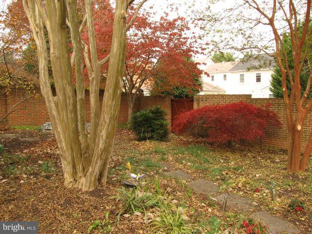 10277 Gainsborough Road Potomac, MD 20854 - Photo 14 of 14 a view of a yard