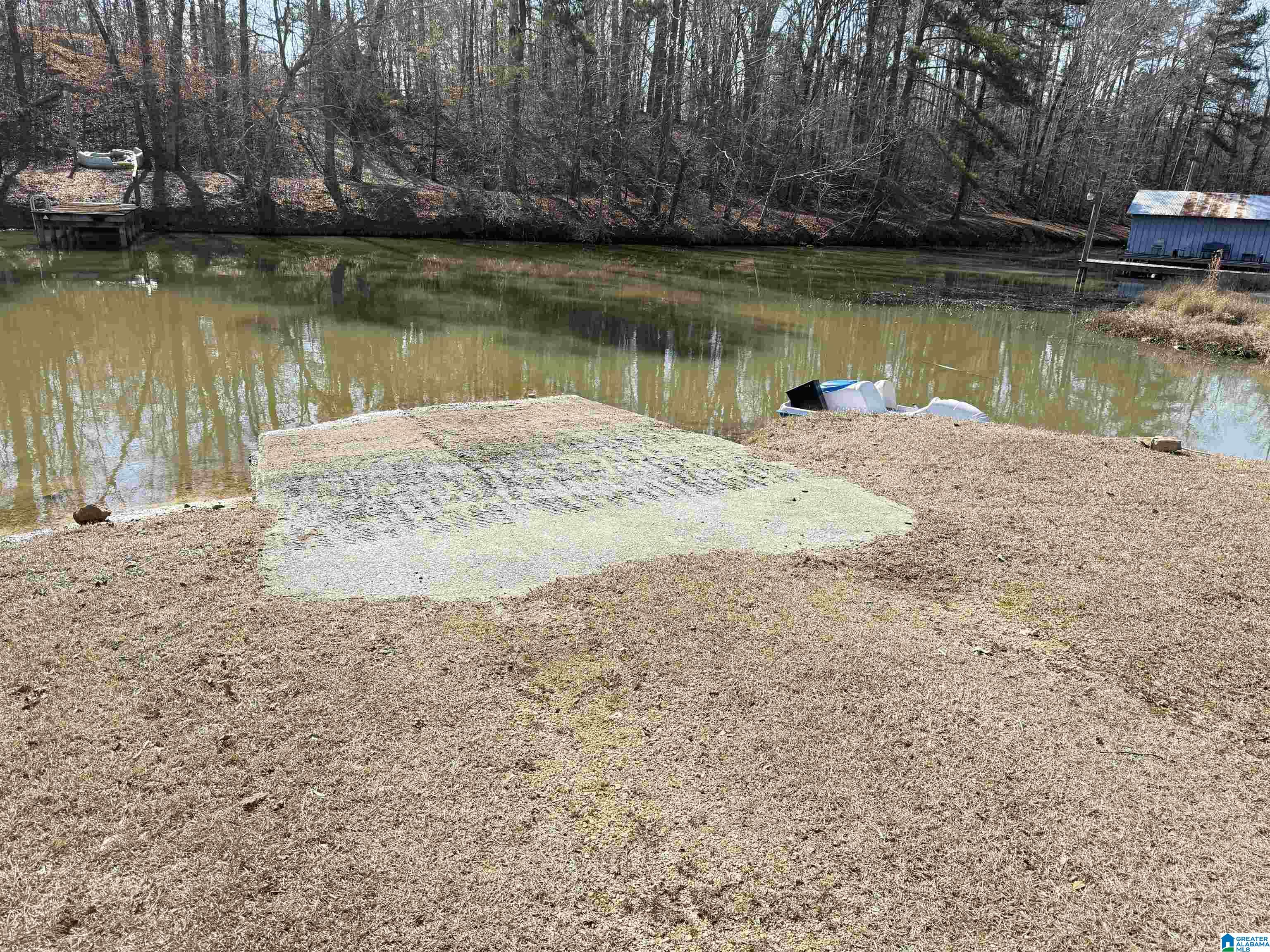 41 Reed Road Ashville, AL 35953 - Photo 58 of 58