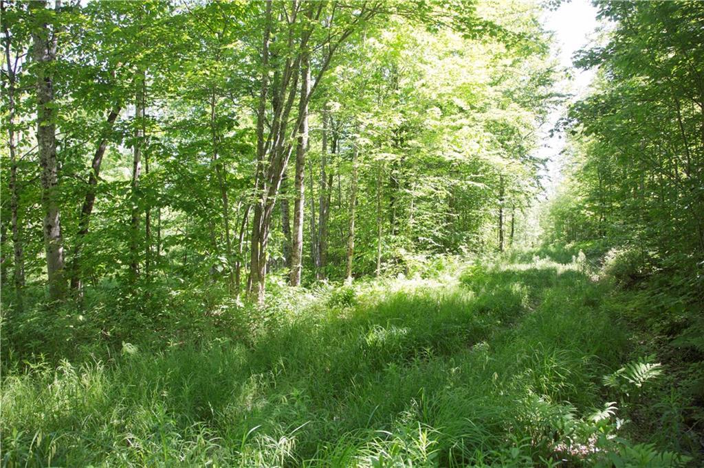 Tbd East Dixmont Road Monroe, ME 04951 - Photo 17 of 35 Photo