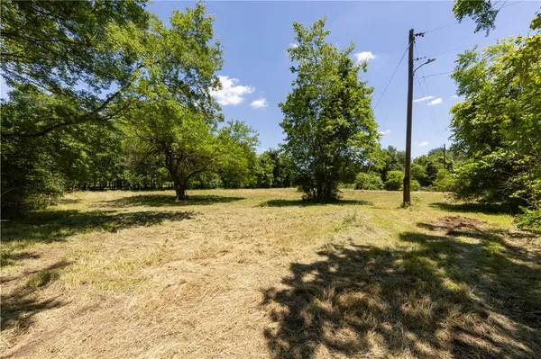 a view of backyard with a garden and plants