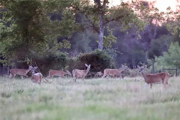 $738,000 | 312 Farm To Market 391, Hearne, TX 77859