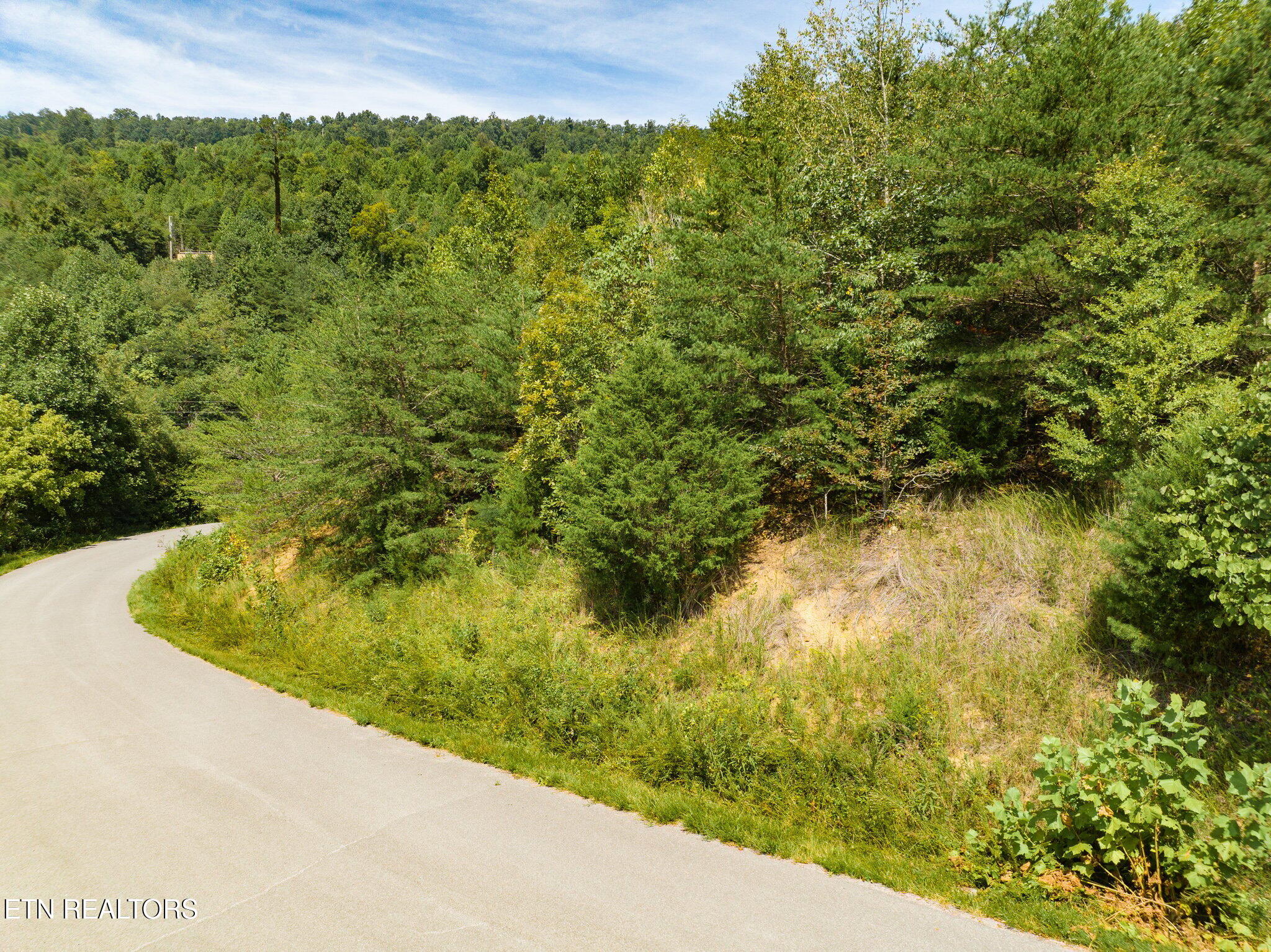 Clear Water Road New Tazewell, TN 37825 - Photo 12 of 13 Lot-721-Clearwater-Rd-12