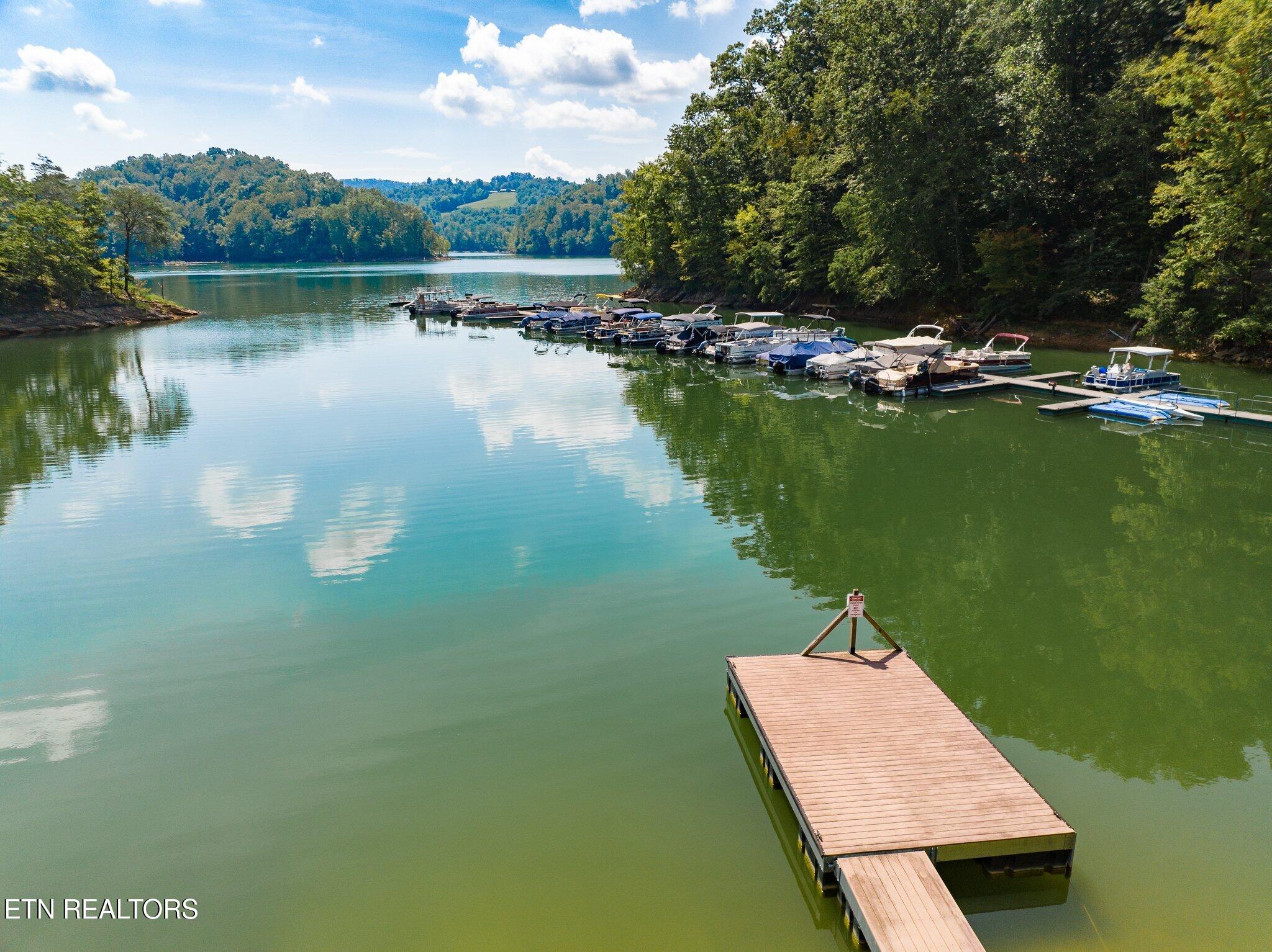 Clear Water Road New Tazewell, TN 37825 - Photo 4 of 13 Lot-721-Clearwater-Rd-4