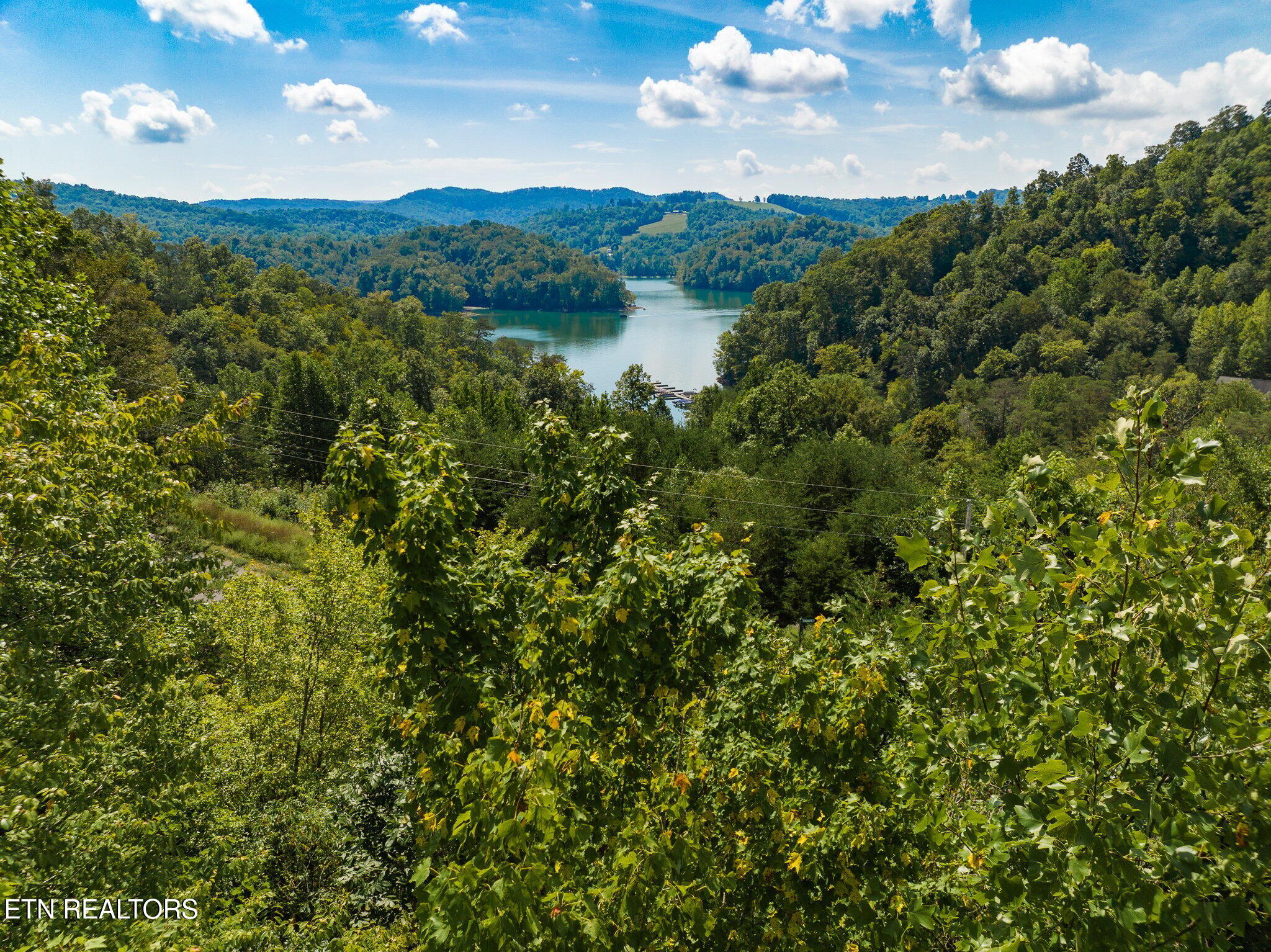 Clear Water Road New Tazewell, TN 37825 - Photo 8 of 13 Lot-721-Clearwater-Rd-8