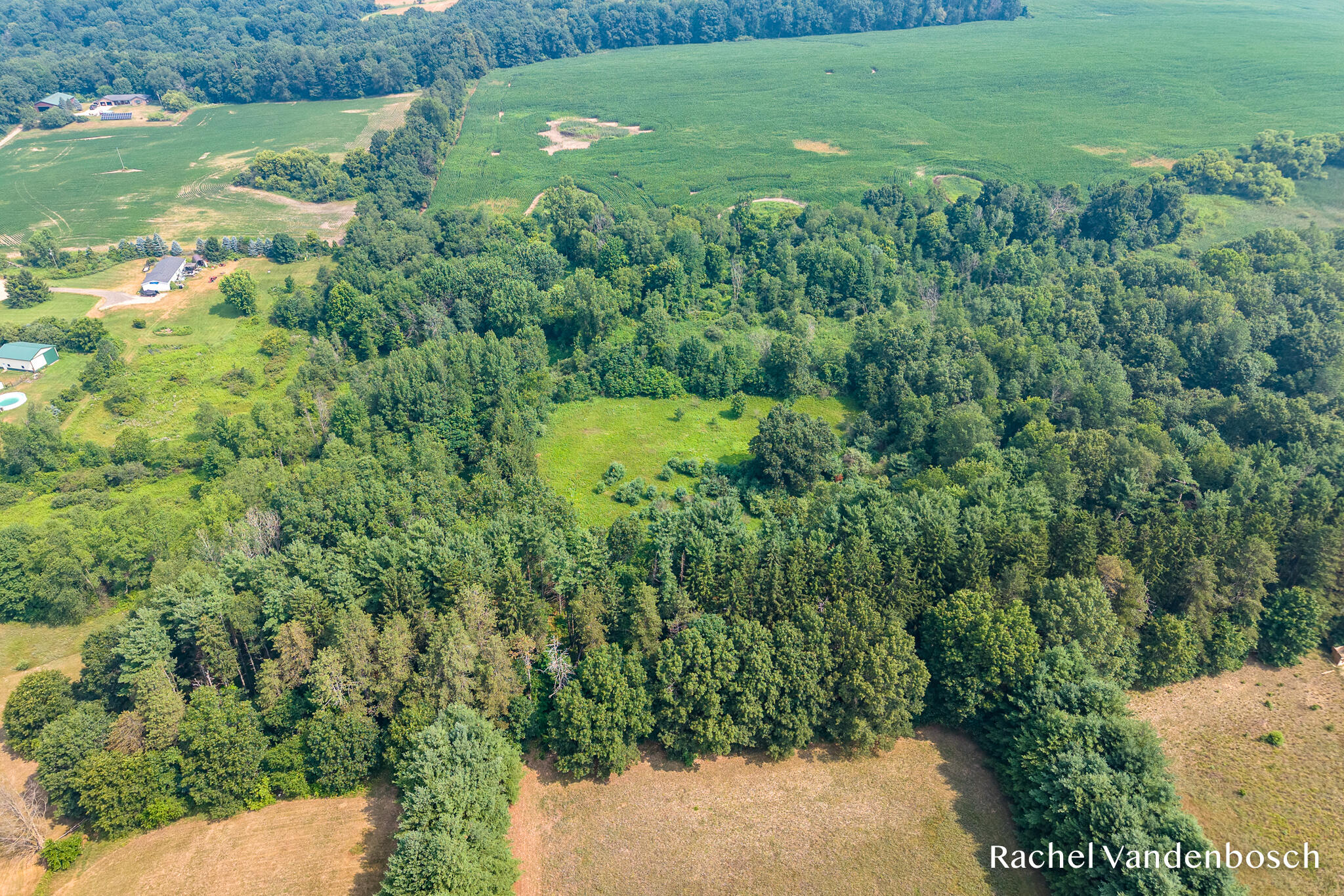 8456 Centerline Road Saranac, MI 48881 - Photo 42 of 52 DJI_20260719112839_0043_D