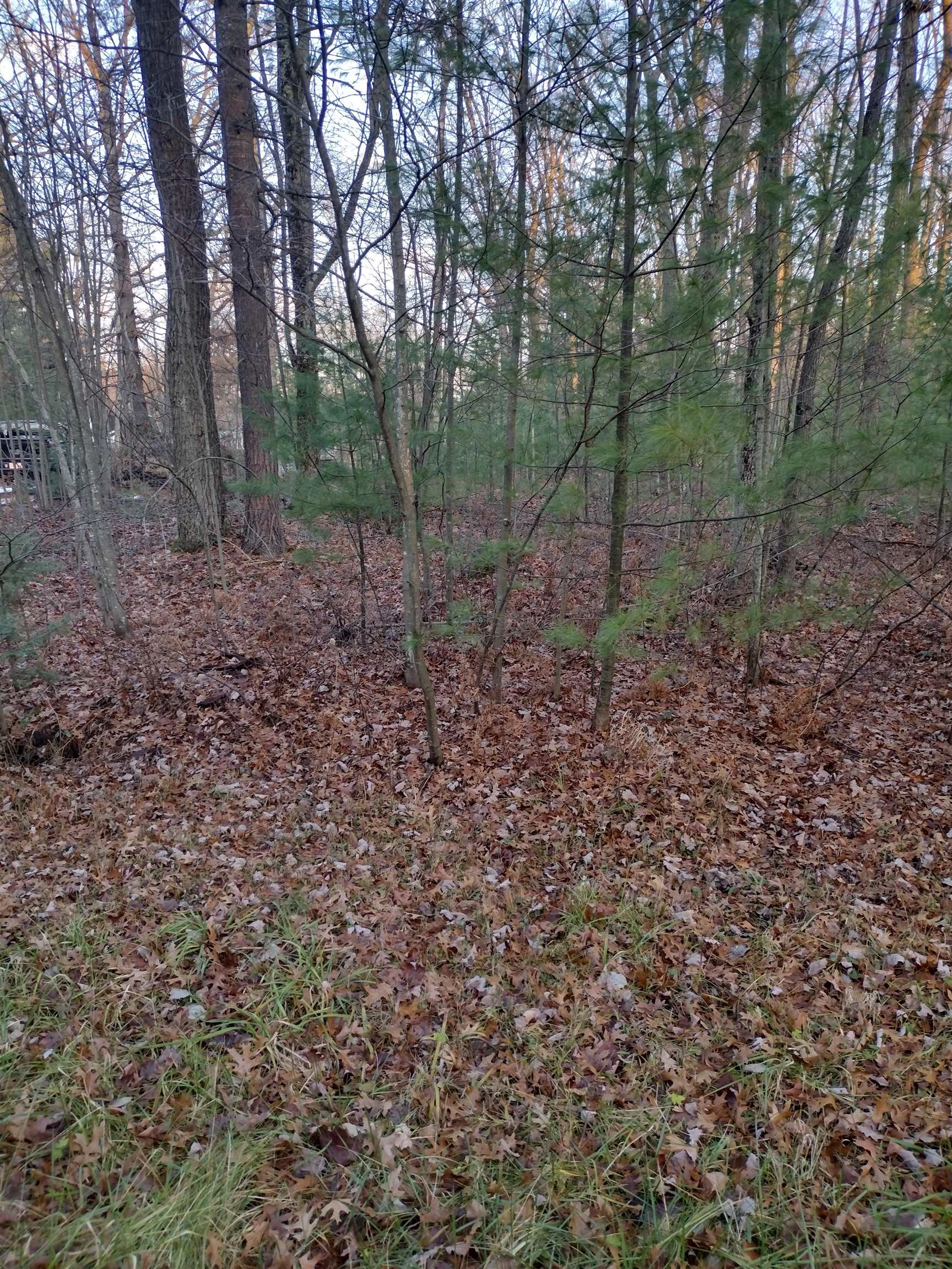 Xx Beals Drive Prescott, MI 48756 - Photo 3 of 6
