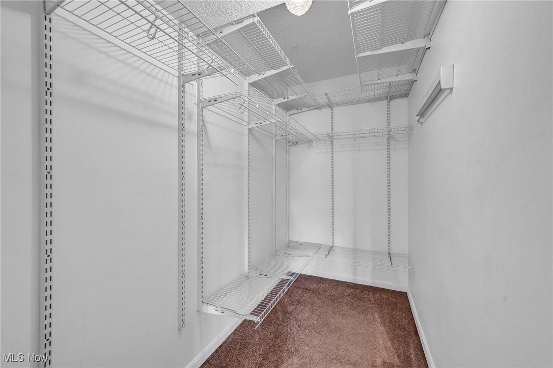 1263 Lost Nation Road, Unit 5 Willoughby, OH 44094 - Photo 21 of 26 Walk in closet featuring dark colored carpet