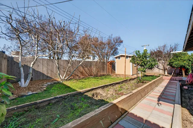 a view of a backyard with a large tree