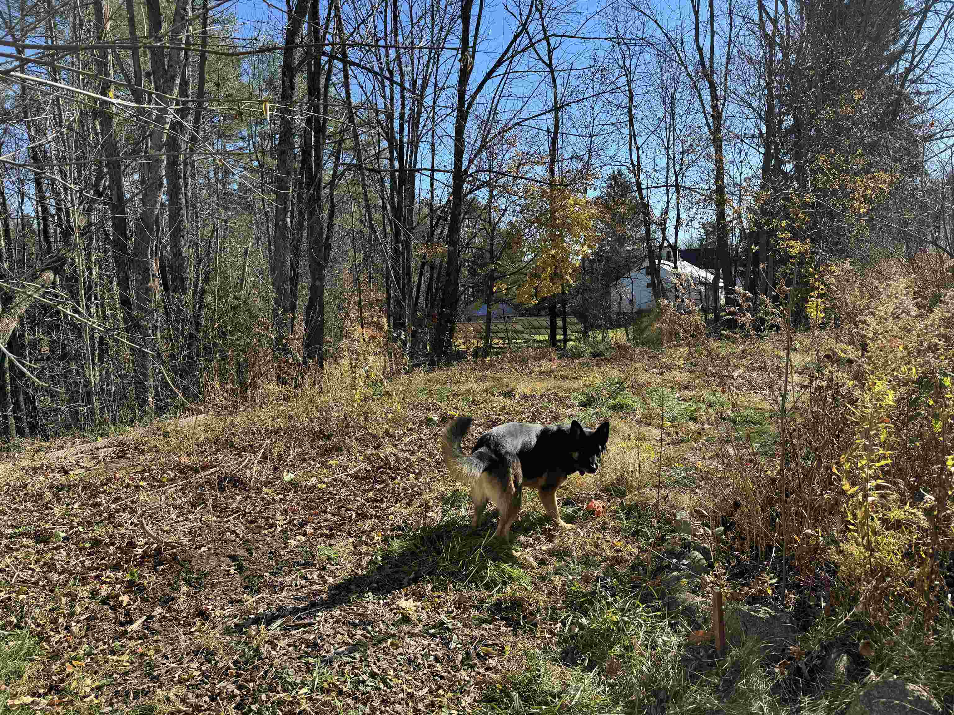 22 Moulton Road Freedom, NH 03836 - Photo 26 of 59