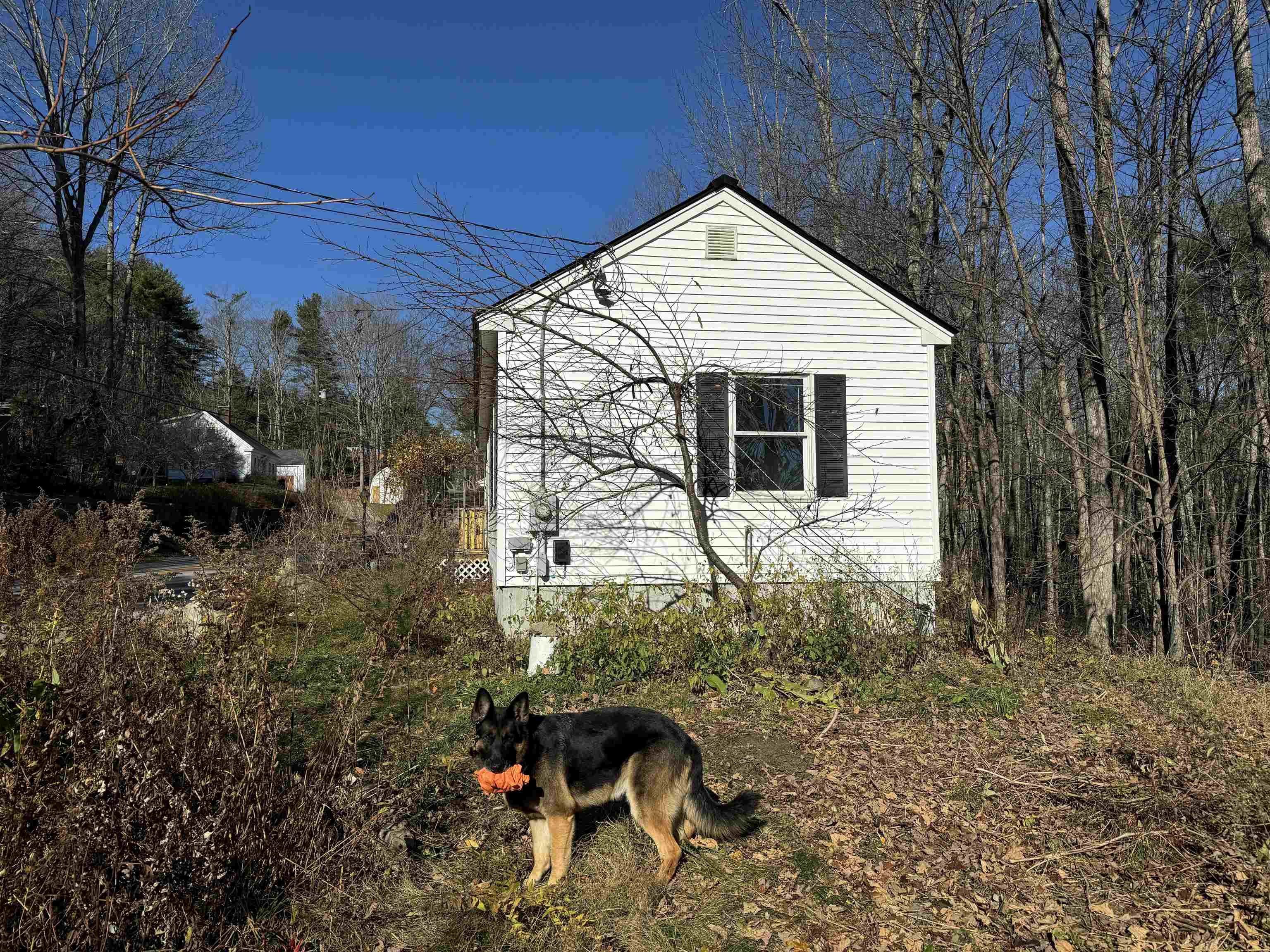 22 Moulton Road Freedom, NH 03836 - Photo 56 of 59