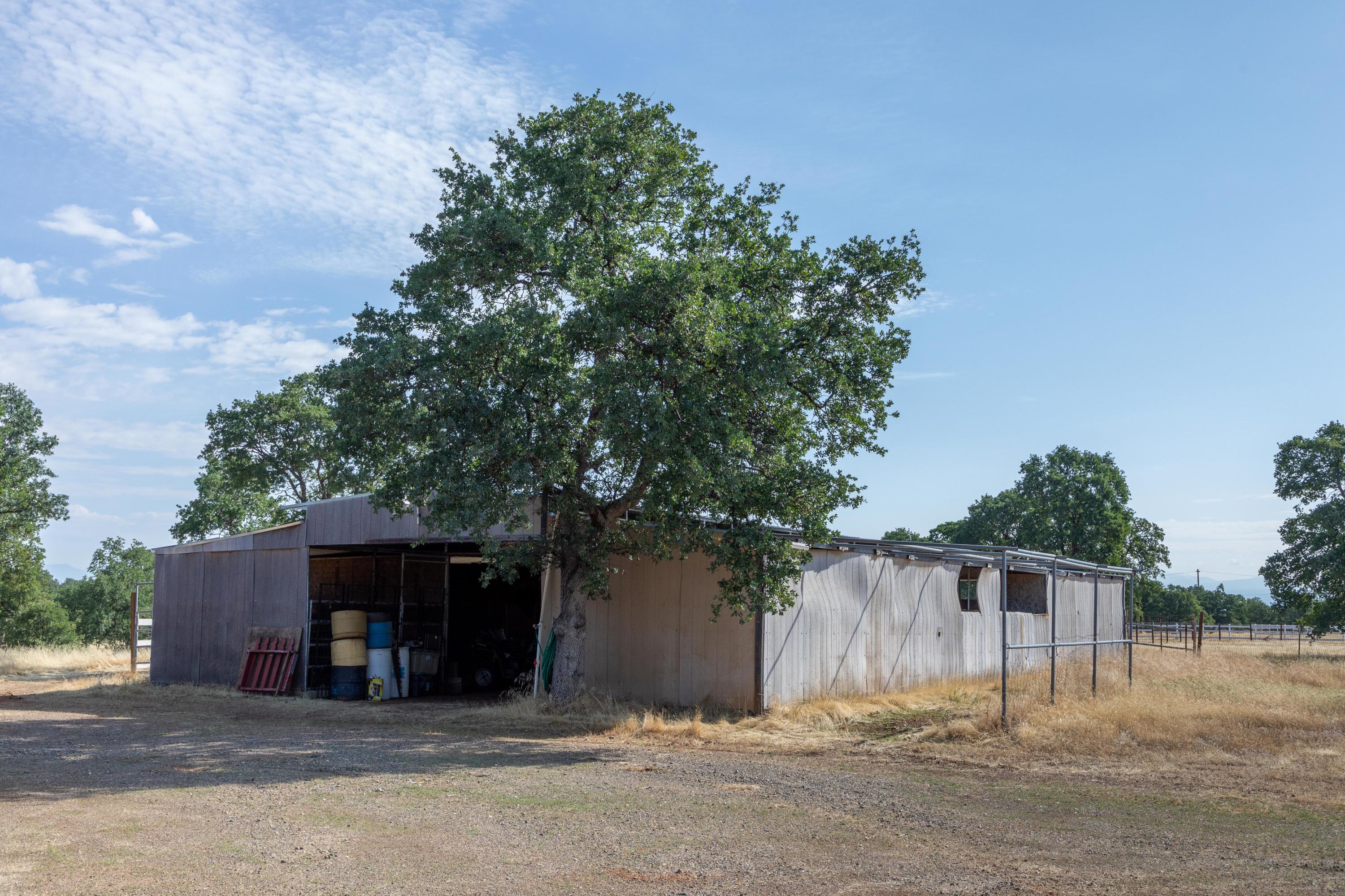 17710-770 Quail Ridge Road Cottonwood, CA 96022 - Photo 58 of 64 254A1182