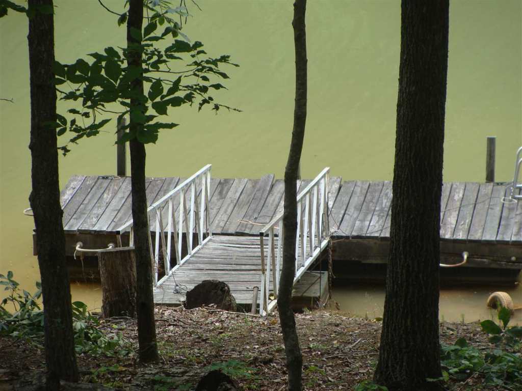 23048 Mcdonald Pte Road Seneca, SC 29672 - Photo 4 of 13