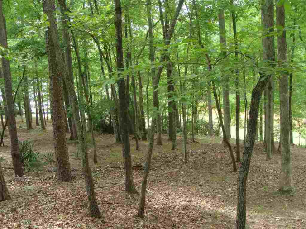 23048 Mcdonald Pte Road Seneca, SC 29672 - Photo 5 of 13