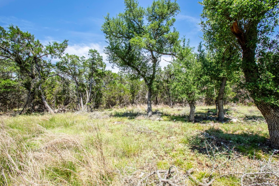 41 Persimmon Drive Wimberley, TX 78676 - Photo 4 of 13