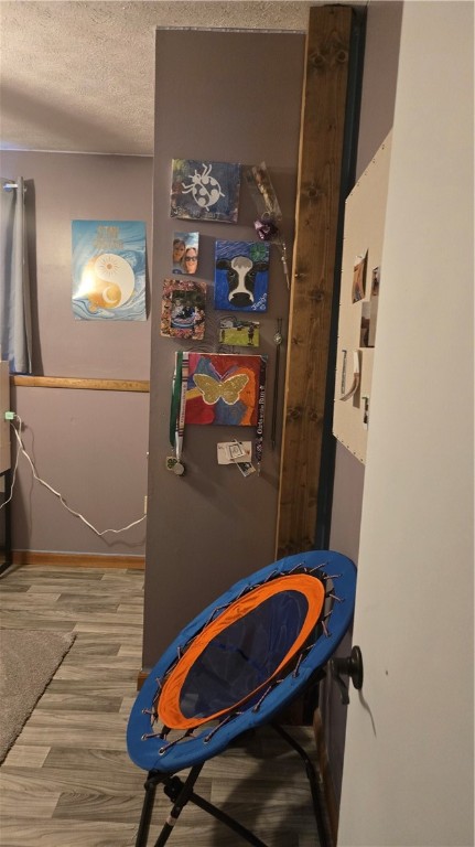 4300 Pump Station Road Cameron, NY 14820 - Photo 32 of 33 bedroom 4- basement