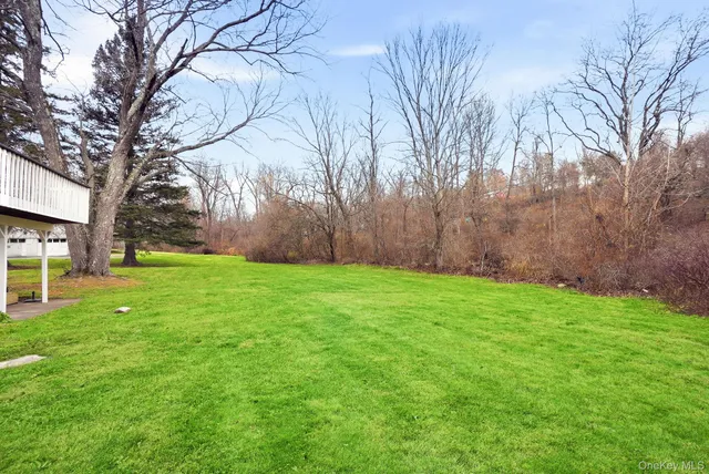 a view of a backyard with large trees