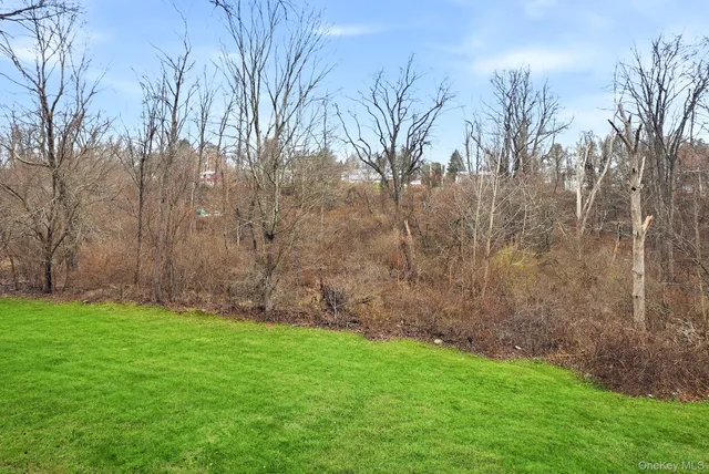 a view of yard with trees