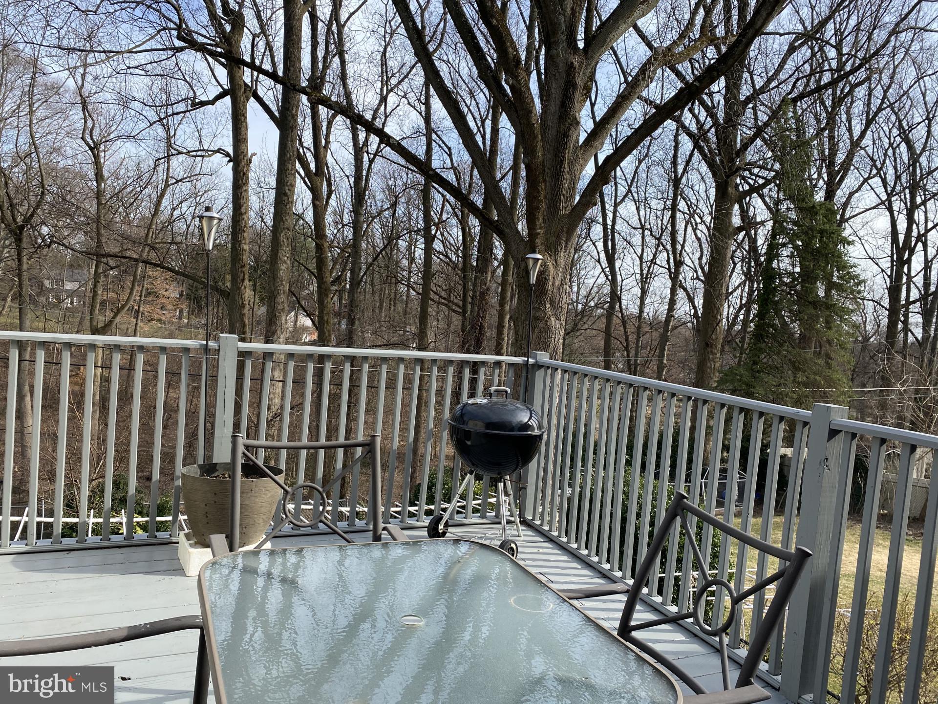 1610 Brookhaven Road Wynnewood, PA 19096 - Photo 19 of 40 Gallery Image 19