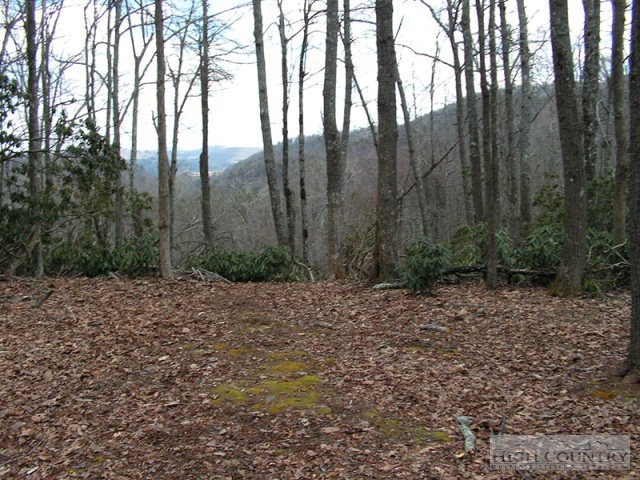 Truffle Lane Boone, NC 28607 - Photo 1 of 5 Gallery Image 1