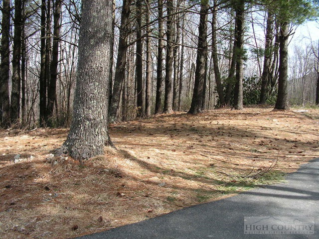 Truffle Lane Boone, NC 28607 - Photo 3 of 5 Gallery Image 3