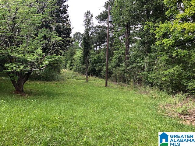 6283 Highway 119 Montevallo, AL 35115 - Photo 6 of 33