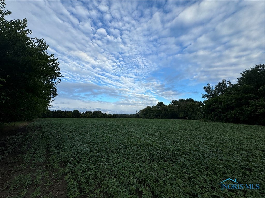 3120 Murd Road Berkey, OH 43504 - Photo 8 of 10 Gallery Image 8