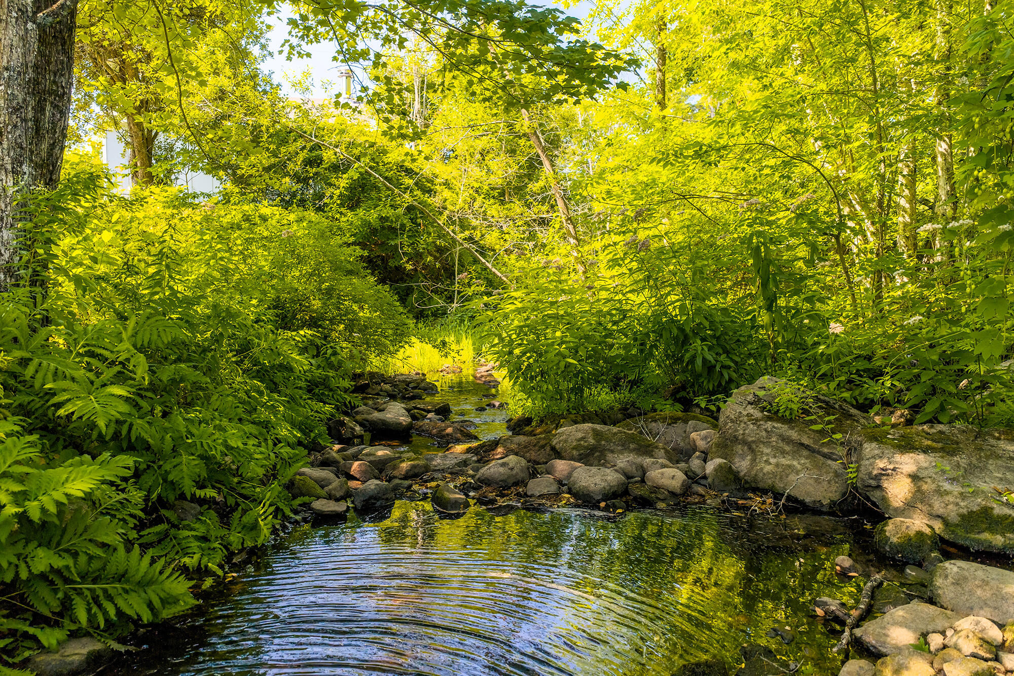 3 Branch Brook Road Thomaston, ME 04861 - Photo 36 of 54 DJI_20260812102943_0018_D