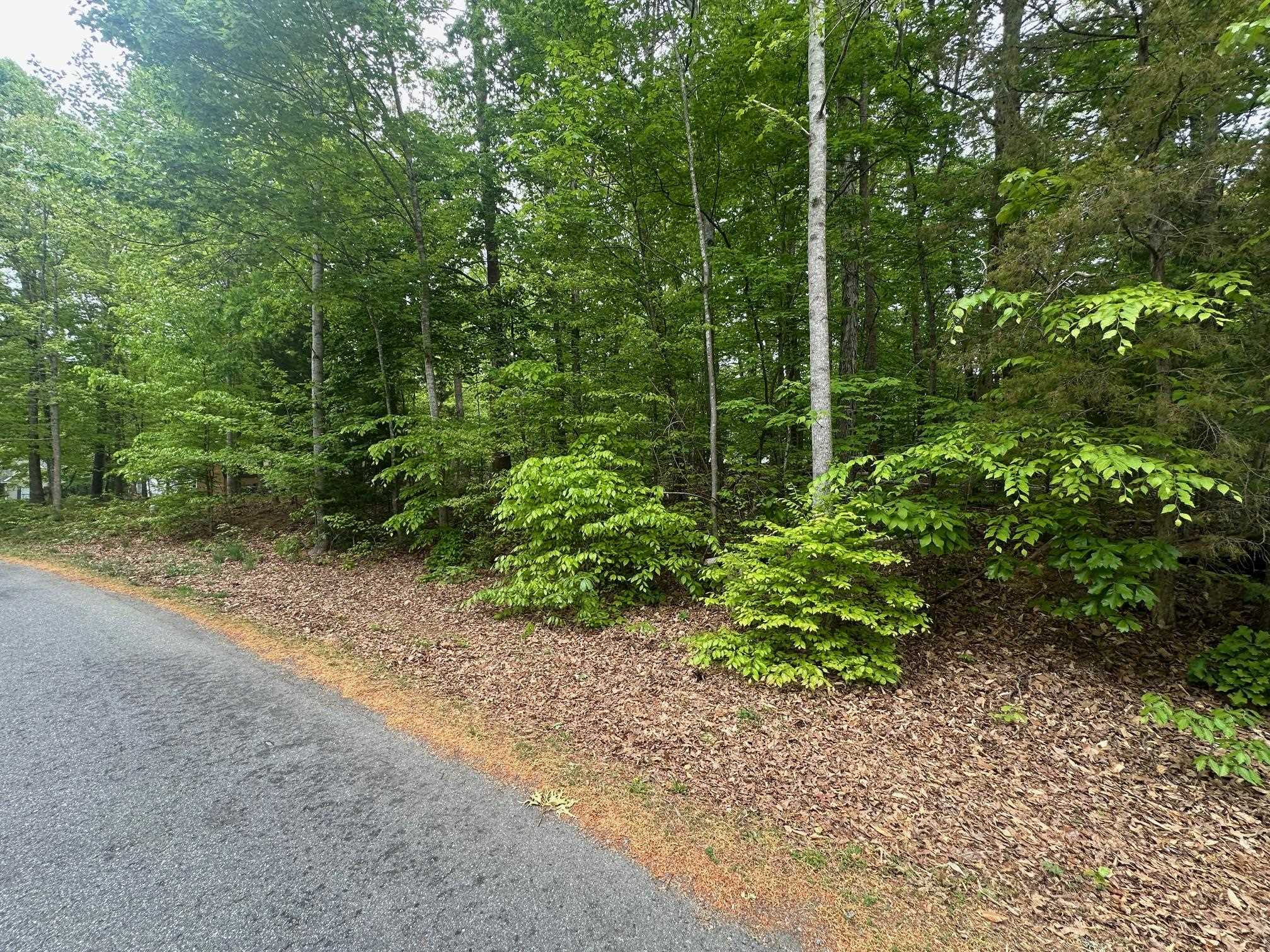 4 East Point Road Palmyra, VA 22963 - Photo 1 of 11 Gallery Image 1