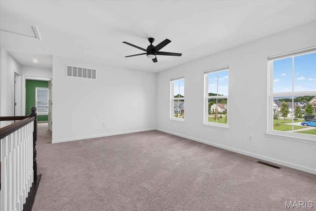 906 Memsie Pk Court O'Fallon, MO 63368 - Photo 30 of 50 Gallery Image 30
