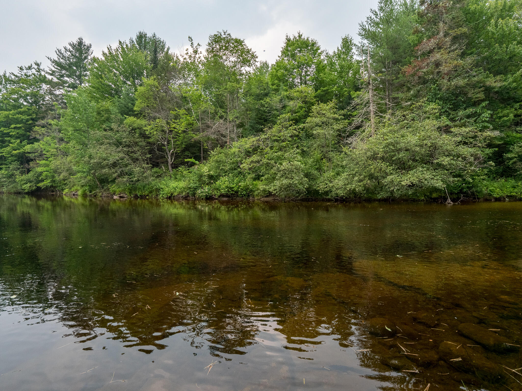 896 Bear River Road Newry, ME 04261 - Photo 47 of 53 869 Bear River-60