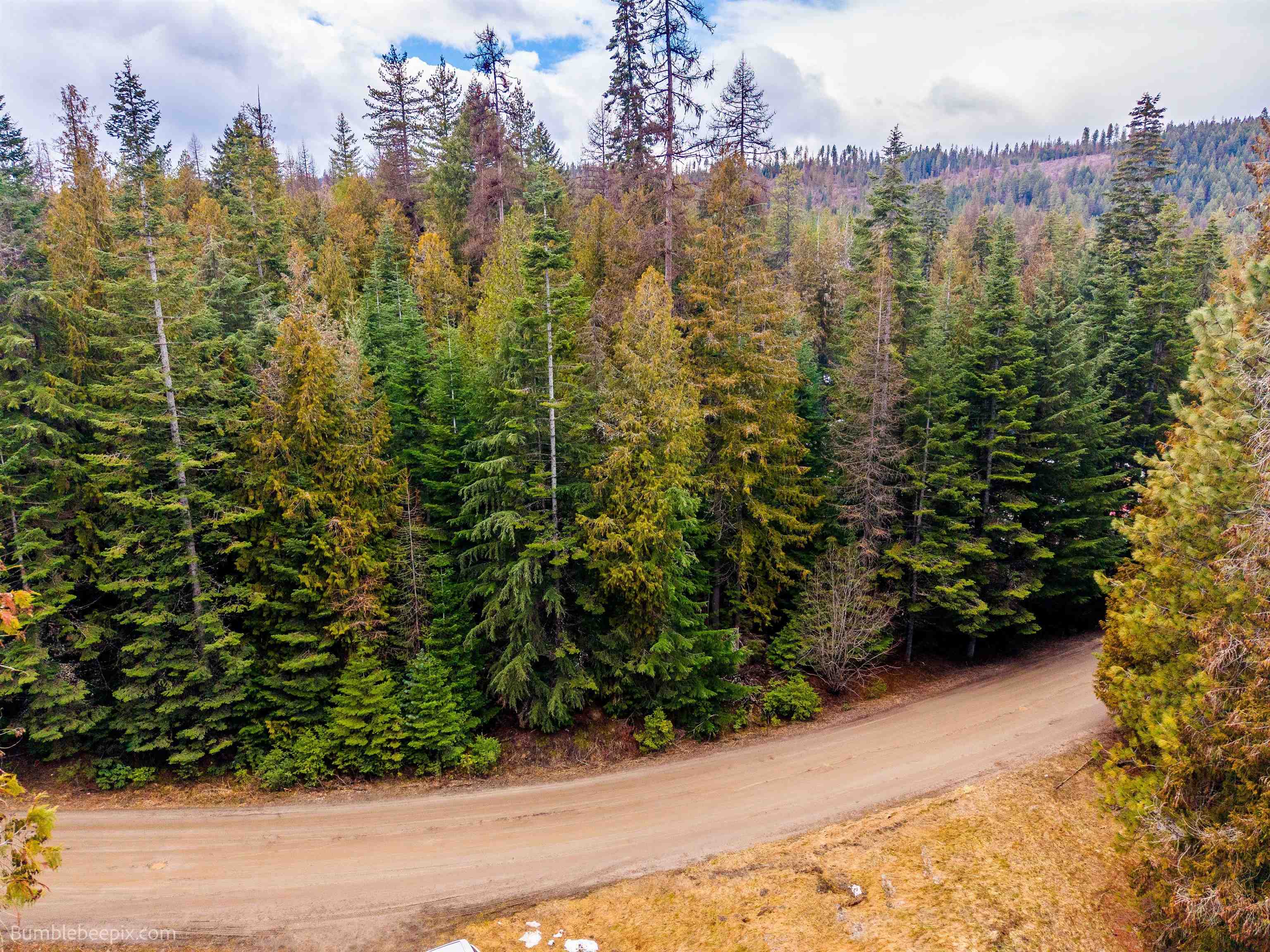 181 Devils Drive Cusick, WA 99119 - Photo 19 of 26