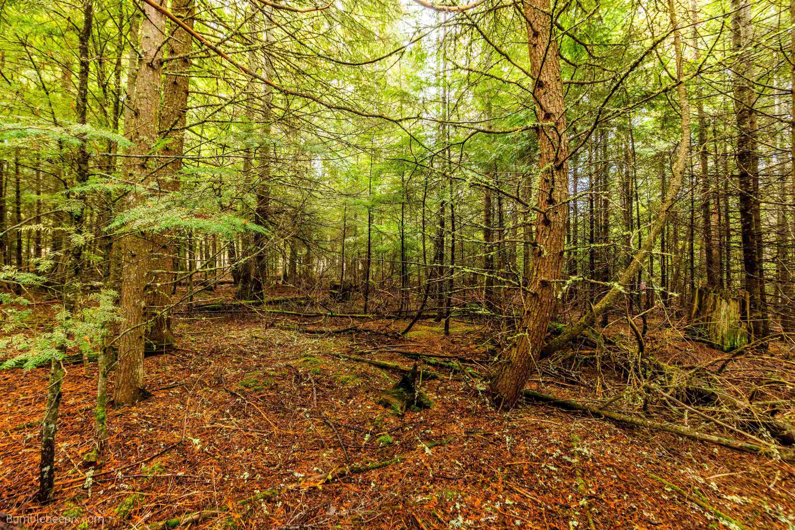 181 Devils Drive Cusick, WA 99119 - Photo 22 of 26