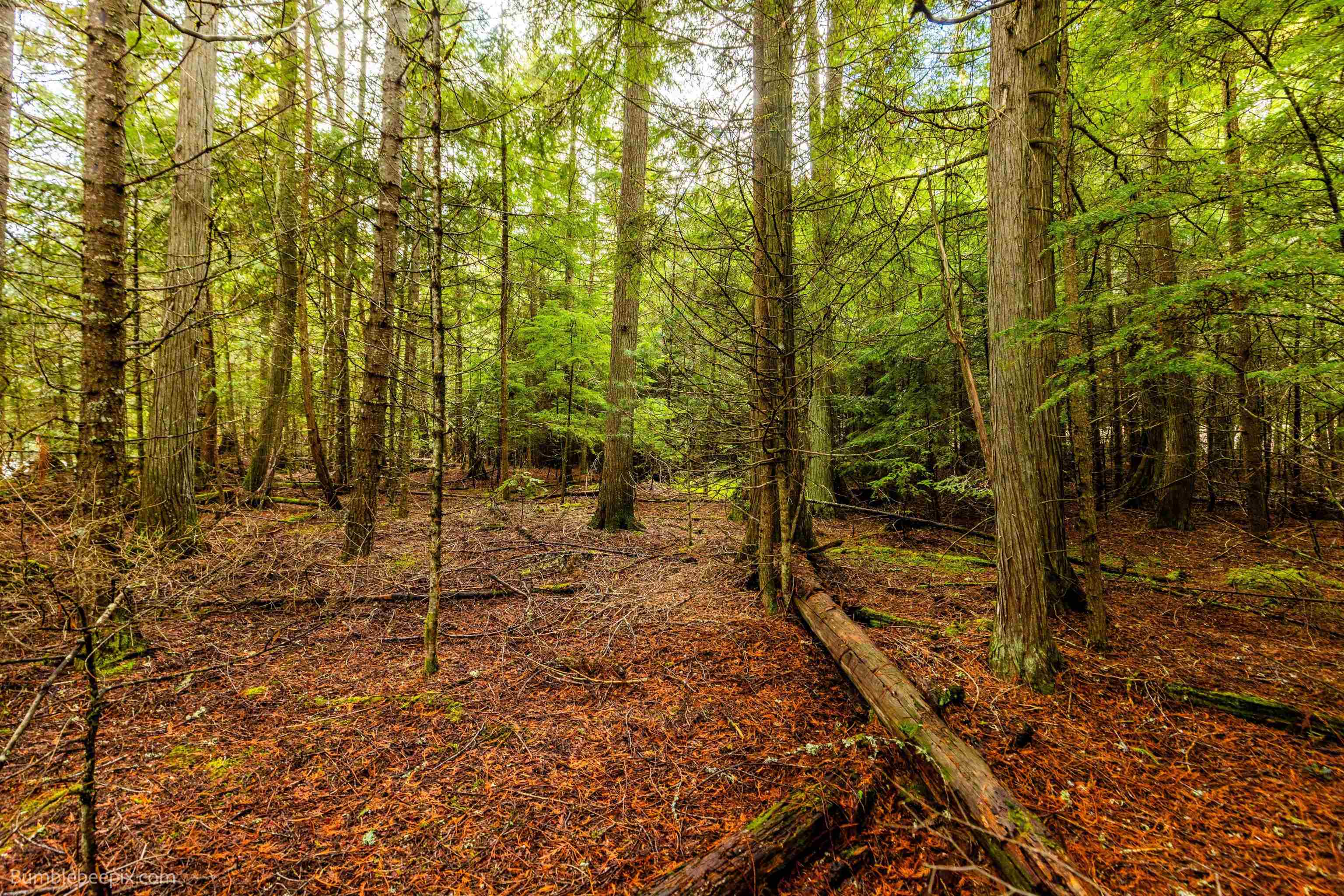 181 Devils Drive Cusick, WA 99119 - Photo 23 of 26