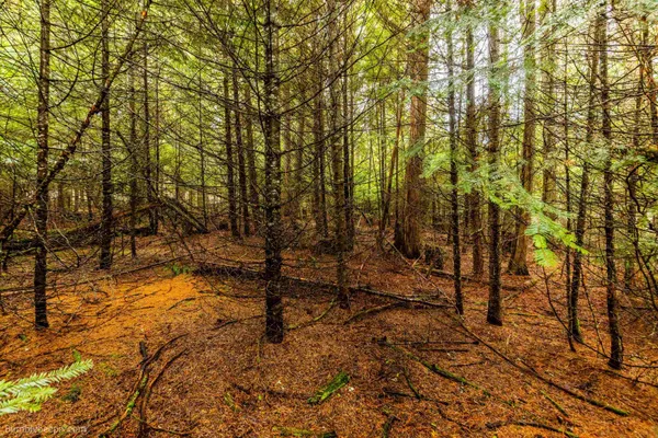 $119,000 | 181 Devils Drive, Cusick, WA 99119