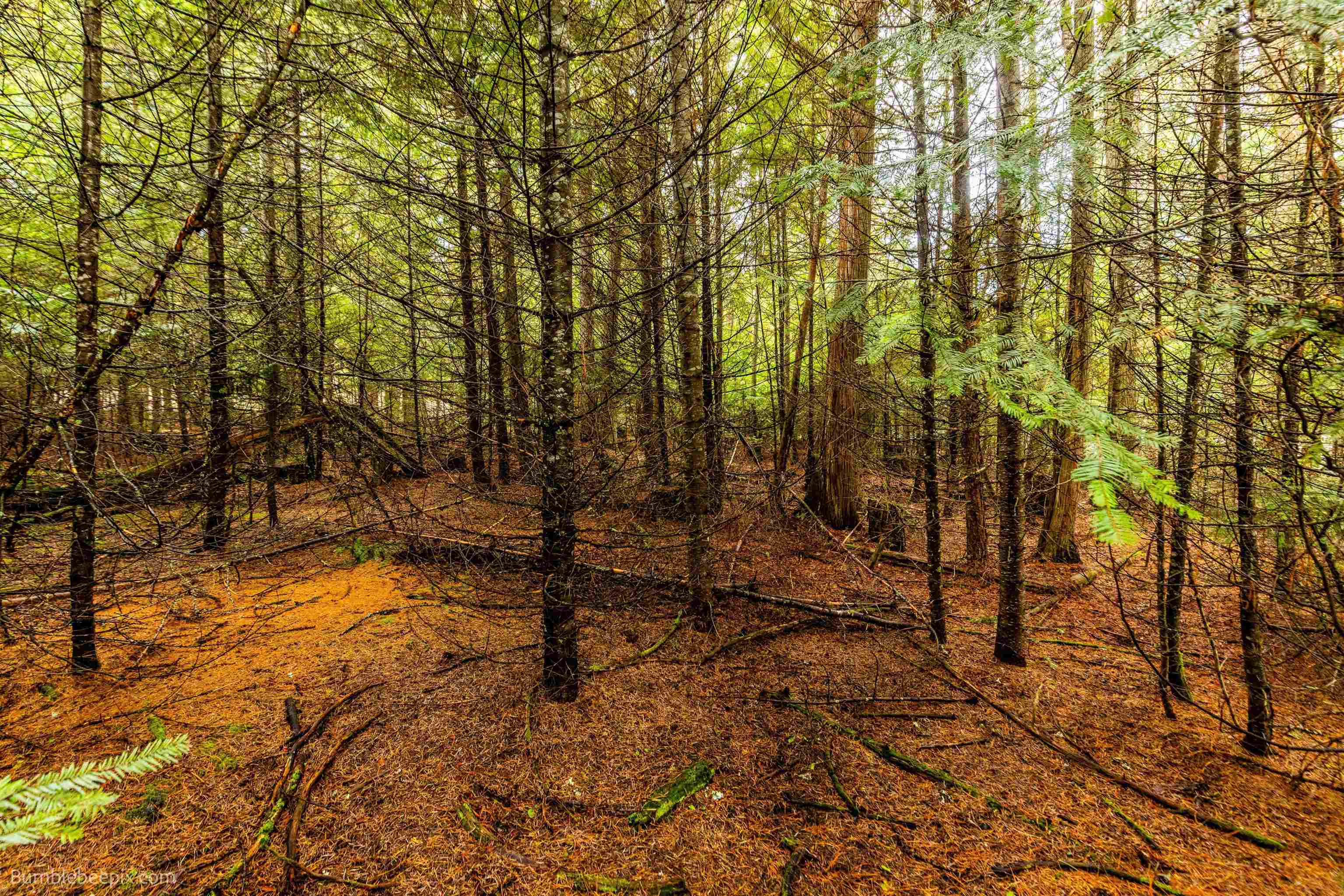 181 Devils Drive Cusick, WA 99119 - Photo 24 of 26