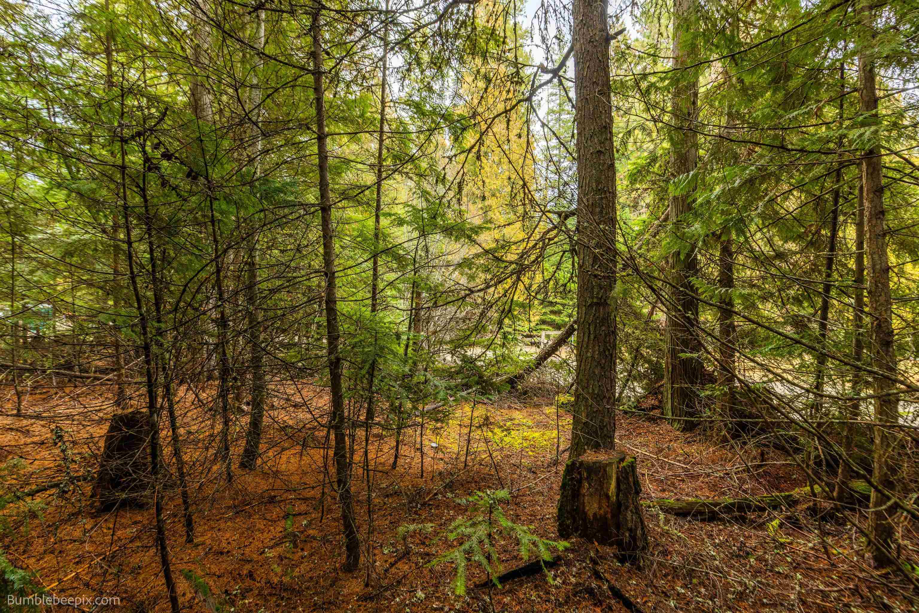 181 Devils Drive Cusick, WA 99119 - Photo 25 of 26