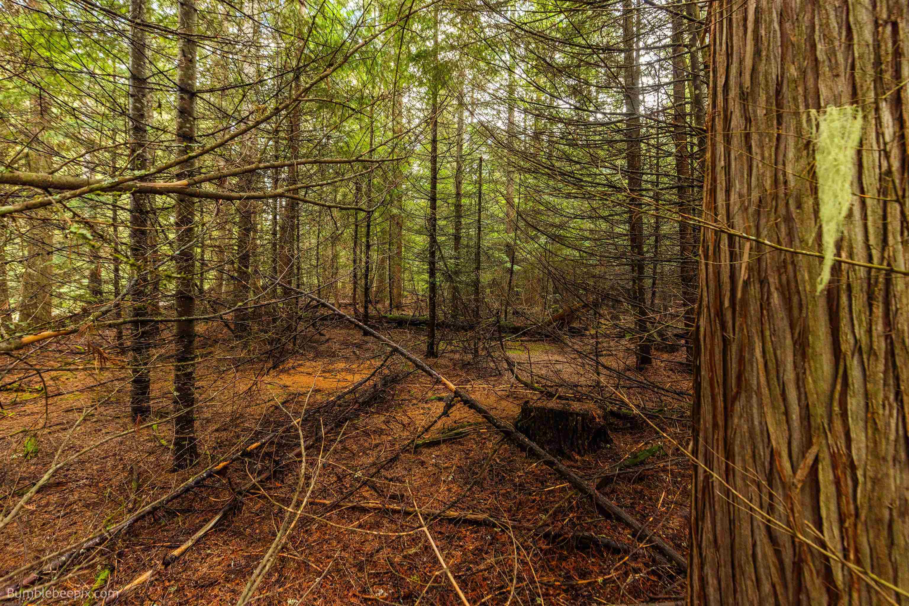 181 Devils Drive Cusick, WA 99119 - Photo 26 of 26