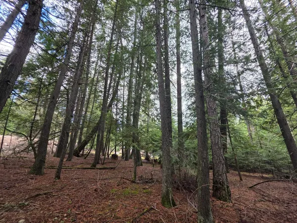 $109,000 | 181 Devils Drive, Cusick, WA 99119