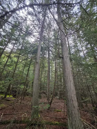 $109,000 | 181 Devils Drive, Cusick, WA 99119