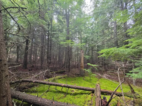 $109,000 | 181 Devils Drive, Cusick, WA 99119