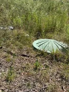 a view of a backyard of a house