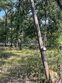 0 R And R Circle Kemp, TX 75143 - Photo 4 of 4 a view of a yard with plants and large trees
