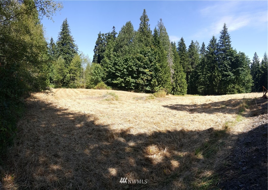 19300 Badke Road Snohomish, WA 98290 - Photo 3 of 4