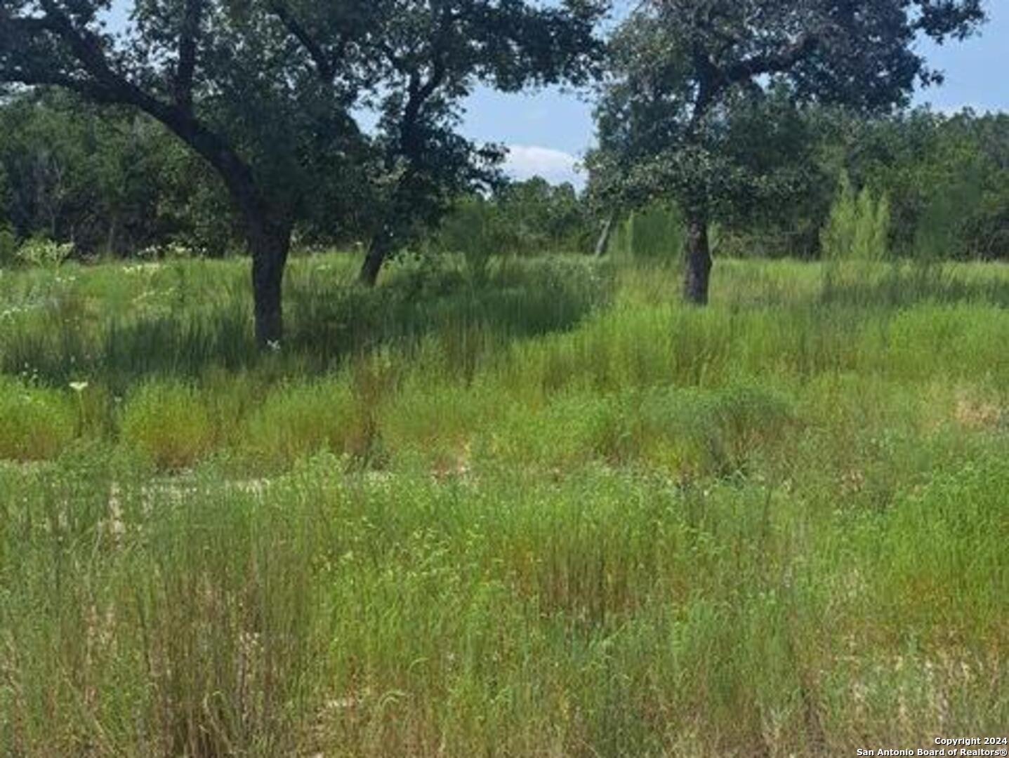 1064 Ken Wayne Drive Spring Branch, TX 78070 - Photo 2 of 4 a view of a lush green space