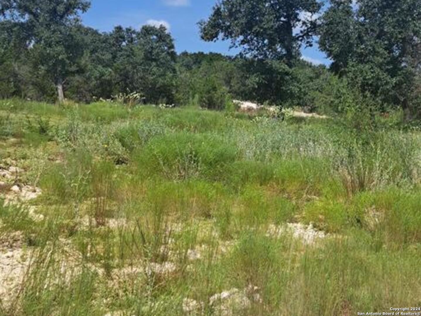1064 Ken Wayne Drive Spring Branch, TX 78070 - Photo 3 of 4 a view of a lush green space