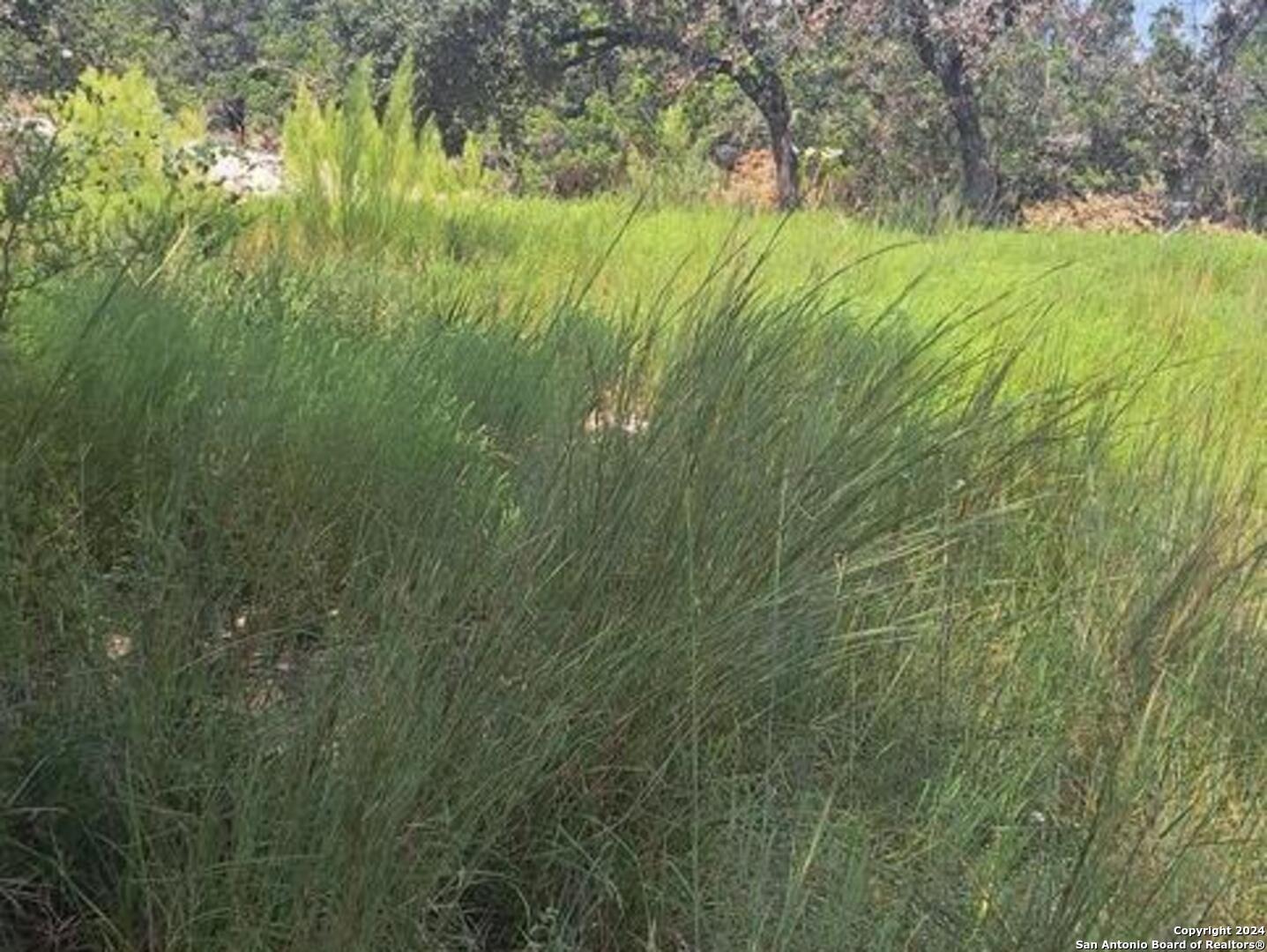 1064 Ken Wayne Drive Spring Branch, TX 78070 - Photo 4 of 4 a view of a yard