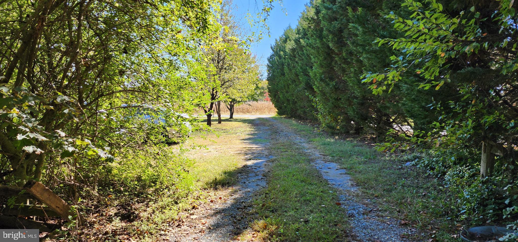 29246 Alms House Road Trappe, MD 21673 - Photo 47 of 53 Gallery Image 47